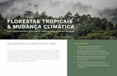 FLORESTAS TROPICAIS & MUDANÇA CLIMÁTICA · As florestas regulam o nosso clima absorvendo e armazenando dióxido de carbono da atmosfera, onde, de outra forma, contribuiria para