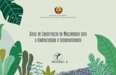 Áreas de Conservação de Moçambique para a Biodiversidade e ... · Programa de Formação de Líderes em Conservação O MozBio 2 irá contribuir para a criação do Programa de
