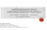 Hipogonadismo hipergonadotropico, trastornos metabólicos ... · GALACTOSEMIA TIPO III (GALE) Forma periférica: asintomática o clínica leve, afecta a eritrocitos y leucocitos FitéiForma