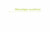 Microalgas acuáticas · Microalgas acuáticas : La otra escala de la biodiversidad en la Amazonia colombiana [ 3 ] Lu z Ma r i n a Ma n t i L L a Cá r d e n a s Directora General