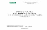 PROGRAMA DE PREVENÇÃO DE RISCOS …O PPRA – Programa de Prevenção de Riscos Ambientais, foi instituído pela Portaria n.º 25 de 29 de dezembro de 1994, a qual altera a redação