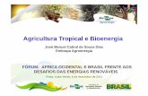 Agricultura Tropical e Bioenergia - OECD · Agricultura Tropical e Bioenergia FÓRUM: ÁFRICA OCIDENTAL E BRASIL FRENTE AOS DESAFIOS DAS ENERGIAS RENOVÁVEIS José Manuel Cabral de