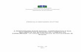 PRISCILLA MACHADO PUTTINI - UnBbdm.unb.br/bitstream/10483/1682/1/2011_PriscillaMachadoPuttini.pdf · A Responsabilidade Social Corporativa e sua influência na intenção de compra