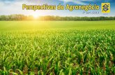 Perspectivas do Agronegócio - Banco do Brasil · 2019-08-08 · #interna O Banco do Brasil possui equipe de especialistas em agronegócio (engenheiros agrônomos, engenheiros florestais,