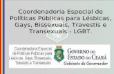 Coordenadoria Especial de Políticas Públicas para Lésbicas, Gays, … · 2018-05-06 · -Promover e/ou apoiar eventos locais, regionais e nacionais para o fortalecimento das políticas