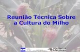 Reunião Técnica Sobre a Cultura do Milhozeamays.hospedagemdesites.ws/wp-content/uploads/2013/05/... · 2013-05-29 · Águas de S. Bárbara 570 LVd 25-11-11 236 119 6 + 7 9.703