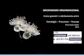 SINCRONISMO ORGANIZACIONAL · 2014-09-01 · SINCRONISMO ORGANIZACIONAL - TÓPICOS A SEREM ABORDADS O redesenho do novo processo – Matriz de priorização de processos – Melhoria