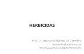 HERBICIDAS - Unesp€¦ · Propriedades físico-químicas dos herbicidas Indica o potencial de persistência do herbicida Tempo de meia vida (dias) Herbicida