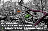 O TRABALHO ESCRAVO NA AMAZÔNIA AMAZÔNIAescravonempensar.org.br/wp-content/uploads/2015/08/...APRESENTAÇÃO Até a década de 1960, menos de 1% das árvores da Amazônia havia tombado.
