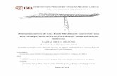 Dimensionamento de uma Ponte Metálica de suporte de uma Tela Transportadora de ... · 2016-12-22 · de especialização de Estruturas, e tem como principal objetivo o estudo e dimensionamento
