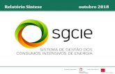 Relatório Síntese outubro 2018 - SGCIERelatório síntese –outubro 2018 4 Dez principais formas de energia Entre as 10 principais formas de energia consumidas pelas instalações