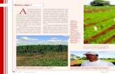 Nossa capa / A - Grupo Cultivar.../ Nossa capa / v l.20 l l l l Março 2005 lA produção pecuária no Brasil, em função da extensão territorial e viabilidade econômi-ca, está