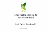 Estudo sobre a Cadeia da Borracha no Brasil José Carlos ... · diagnóstico e apresentação dos pontos de melhoria para a cadeia produtiva da borracha natural no Brasil, desde os