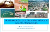 Mineração e sustentabilidadempf.mp.br/atuacao-tematica/ccr4/dados-da-atuacao/... · Gerenciamento ambiental não significa sustentabilidade Considerando o papel relegado à Amazônia