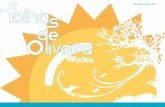 Newsletter agosto 2017 - Oliveira de Frades · Nossa Sr.ª de Fátima (Destriz e Varzielas), de Santa Maria da Serra (Cercal – S. João da Serra), a Festa da Pedra do Ar, no Carregal