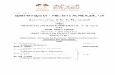 Epidémiologie de l’infection à ACINETOBACTER baumannii au …wd.fmpm.uca.ma/biblio/theses/annee-htm/FT/2016/these146... · 2017-02-09 · baumannii au CHU de Marrakech THÈSE