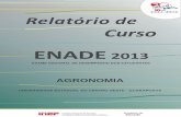 ENADE 2013 - UNICENTRO · A prova do ENADE/2013, com duração total de 4 (quatro) horas, apresentou um componente de avaliação da Formação Geral, comum aos cursos de todas as