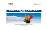 ESTRATEGIA SECTORIAL DE LA QUINUA - CIQ · 2018-06-08 · 7 Estrategia Sectorial de la Quinua 1. ANTECEDENTES 1.1 CONTEXTO GENERAL 1.1.1 Origen y clasificación taxonómica La quinua