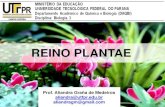 REINO PLANTAElicaoestudo.weebly.com/uploads/1/8/3/5/18353979/aula_4_-_plantas.… · Reprodução na água. BRIÓFITAS 17 Sexos separados: planta masculina (com anterídio –forma