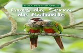 GUIA FOTOGRÁFICO Aves da Serra rra de Baturitéaquasis.org/wp-content/uploads/2016/07/02-–Guia-Fotogr... · 2016-12-22 · Figura 2. Vista interna da Mata úmida preservada. Figura