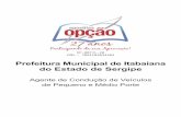 Prefeitura Municipal de Itabaiana do Estado de …...Língua Portuguesa Compreensão de textos ...