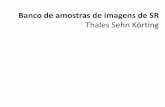 Banco de amostras de imagens de SR - INPEwiki.dpi.inpe.br/lib/exe/fetch.php?media=refgeo:amostras... · 2014-10-16 · Banco de amostras de imagens de SR Thales Sehn Körting (Gonzalez