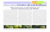 Cordeirópolis, Março de 2019• Número 286 Mecanismos …ccsm.br/wp-content/uploads/2019/05/INFORMATIVO_CCSM_03... · 2019-05-02 · Editorial 2 Informativo Centro de Citricultura