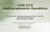 LGN 313 Melhoramento Genético - USPdocentes.esalq.usp.br/aafgarci/pub/Aula8Melhora.pdf · 2010-10-27 · Depressão por endogamia e heterose em milho. Exemplo 03 Evolução da área
