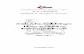 Estudo de Técnicas de Filtragem Híbrida em …tg/2013-2/cemb.pdfEstudo de Técnicas de Filtragem Híbrida em Sistemas de Recomendação de Produtos Monografia apresentada ao curso