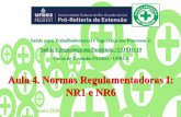 Aula 4. Normas Regulamentadoras I: NR1 e NR6Translate this page...biológicos, ficarão dispensados de elaboração do Programa de Prevenção de Riscos Ambientais - PPRA. 1.7.1.1