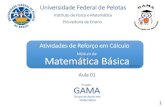 Módulo de Matemática Básica · Instituto de Física e Matemática Pró-reitoria de Ensino Universidade Federal de Pelotas Matemática Básica Atividades de Reforço em Cálculo
