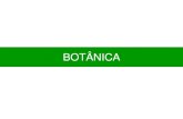 Botânica¢nica.pdf · Gametófito masculino. Metagênese em angiospermas Gametófito feminino. Metagênese em angiospermas ... •Formação dos frutos •Síntese do etileno •Crescimento