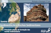 Apresentação do PowerPoint - José Carlos Morais · 2020-01-27 · Formação das Rochas Sedimentares Ambientes de formação de rochas sedimentares CONTINENTAIS 4- fluviais 2-