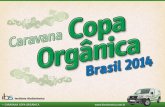 CARAVANA COPA ORGÂNICA · 2018-09-07 · Desenvolvimento •A CARAVANA é composta por 2 VEÍCULOS PERSONALIZADOS que irão percorrer as 12 cidades-sede da Copa do Mundo de 2014