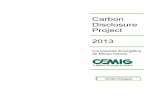 Carbon Disclosure Project 2013 - 12,07%, estando abaixo dos £­ndices regulat£³rios; a meta definida