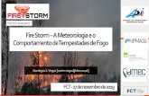 FireStorm–A Meteorologia e o Comportamentod e ......2020/07/01  · FireStorm–A Meteorologia e o Comportamentod e Tempestadesd eF ogo Domingos X. Viegas [xavier.viegas@dem.uc.pt]