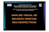 LEB450 Análise visual de imagens - USP · 2016-10-22 · 3.2 um exemplo de metodologia de anÁlise visual de imagens (mapeamento de vegetaÇÃo nÃo-agrÍcola) 3.2.1. definiÇÃo