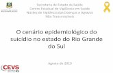 O cenário epidemiológico do suicídio no estado do Rio ... · uma forma de chamar a atenção) ... *Taxa calculada com população referente ao ano de 2015. Suicídio no Rio Grande