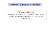 Differenciáltság és anaplasia Differenciáltság A ...users.atw.hu/aokszote/download.php?fname=./02... · CIN: atypia a hám teljes vastagságában. BM ép. Invasio lépései •