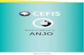 I ANJO - blog.cefis.com.br · Investidores anjo são focados em empresas que estejam no estágio de Capital Empreendedor Pré-Semente. O montante investido por investidores anjo varia