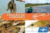 cartilha criação camarão Sebrae... · aquicultura apresentou um crescimento da ordem de 80,44% entre os anos de 2003 a 2013, saltando de cerca de 39 milhões de toneladas para