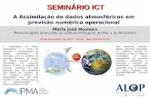 A Assimilação de dados atmosféricos em previsão numérica … · 2019-07-22 · SEMINÁRIO ICT Maria José Monteiro Meteorologista doutorada do Instituto Português do Mar e da
