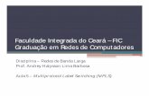 Faculdade Integrada do Ceará – FIC Graduação em Redes de ... · Disponibiliza meios para fazer a correspondência de endereços IP para labels simples e de tamanho fixo usadas