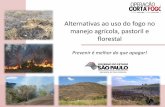 Alternativas ao uso do fogo no manejo agrícola, pastoril e ... · Redução do uso do fogo: Programa Etanol Verde: acordo com o setor sucroenergético antecipação do prazo para
