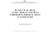 PAUTA DA 250ª REUNIÃO ORDINÁRIA DO CODAM · 2019-07-10 · GOVERNO DO ESTADO DO AMAZONAS Secretaria de Estado de Planejamento e Desenvolvimento Econômico-SEPLAN Conselho de Desenvolvimento