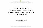 PAUTA DA 245ª REUNIÃO ORDINÁRIA DO CODAM...submetido para discussão e aprovação a ata da 243º reunião ordinária do CODAM realizada em 27 de fevereiro de 2013, como não houve