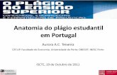 Anatomia do plágio estudantil em Portugal · ao plágio do que os estudantes de excelente desempenho académico (médias > 16 valores). Menos íntegros . em termos académicos (índice