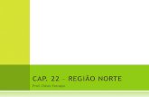 CAP. 22 – REGIÃO NORTEfiles.analisegeografica.webnode.com.br/200000046-6ddb16ed51/Ca… · Império Português de fato consolidou sua soberania na área, criando o estado do Grão-Pará,