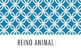 REINO ANIMAL - Cada um com seus problemas Animal_EJA.pdf · REINO ANIMAL . PRINCIPAIS FILOS: • Poríferos: reúne as esponjas, animais de vida aquática cuja composição corporal