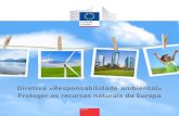 Diretiva Responsabilidade ambiental Proteger os recursos ... · Proteger os recursos naturais da Europa Ao longo do tempo, os contributos destas partes, em conjunto, deverão gerar